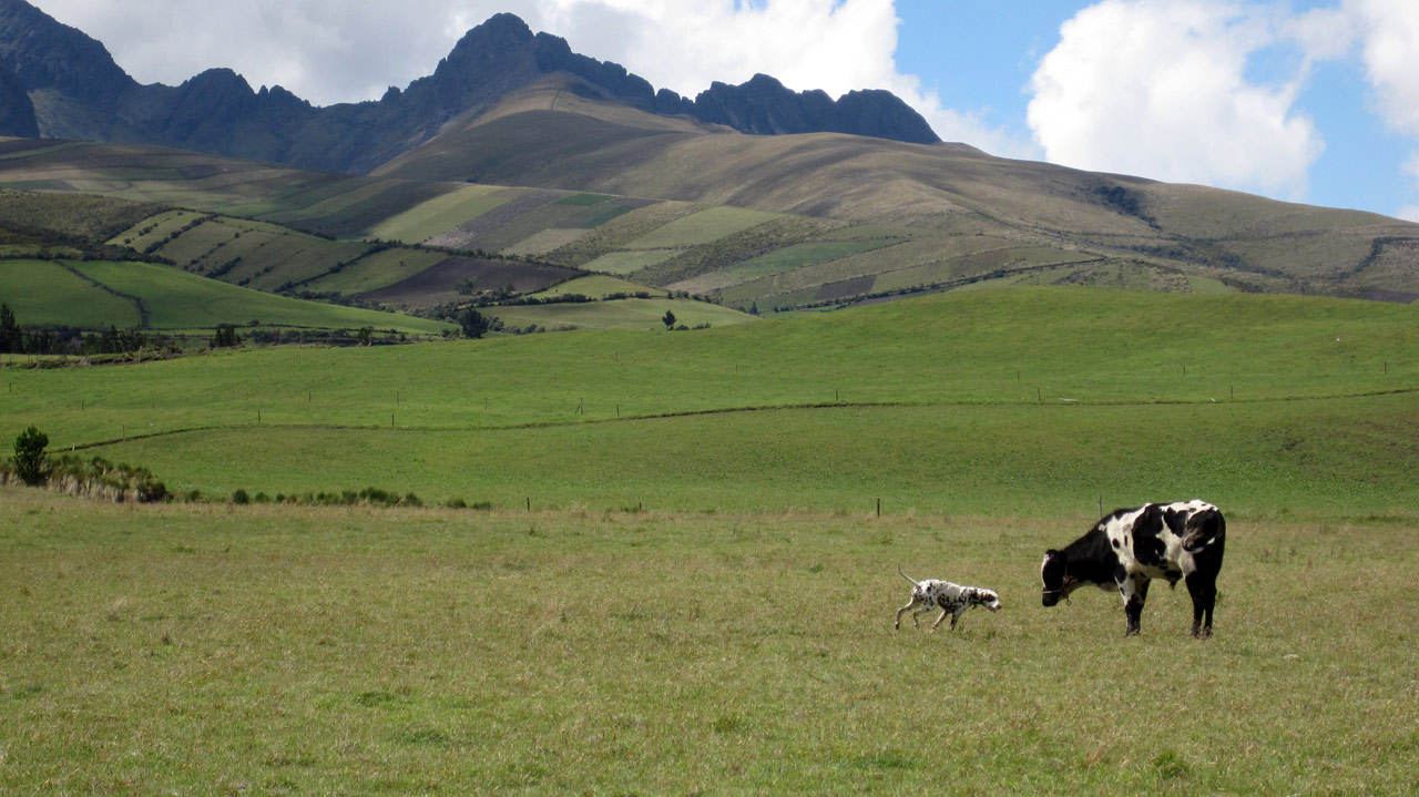 IMG_0147