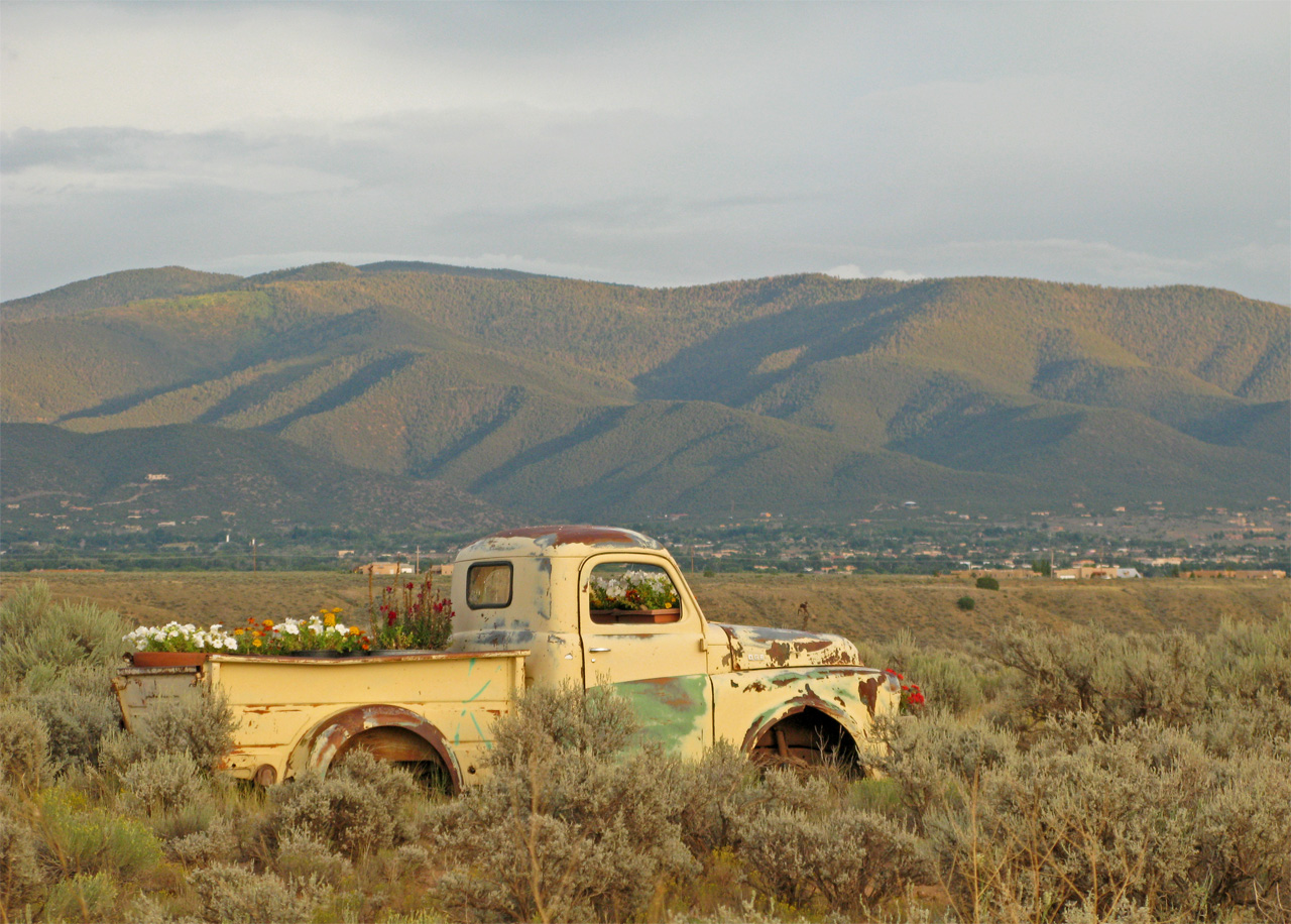  Judy’s neighborhood was extremely photogenic.